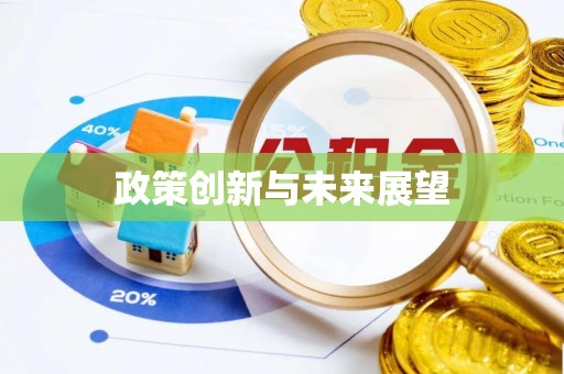 岐山政策创新与未来展望