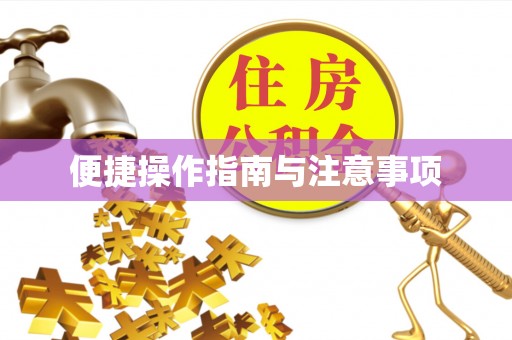 岐山便捷操作指南与注意事项