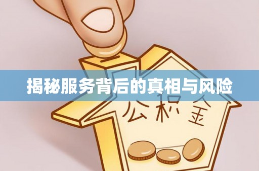 岐山揭秘服务背后的真相与风险